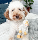 Yeti 7" Latex Squeaker Dog Toy for Dogs of All Sizes