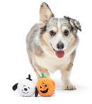 $3 OFF! BARK Peanuts Snoopy & Charlie Brown Pumpkin Heads 2 Pack XS-S