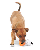 $3 OFF! BARK Peanuts Snoopy & Charlie Brown Pumpkin Heads 2 Pack XS-S