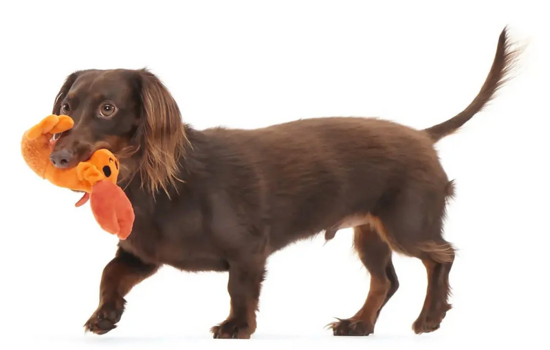 BARK Della Crawfish Stretch Crinkle & Squeaky Plush Dog Toy: XS/S