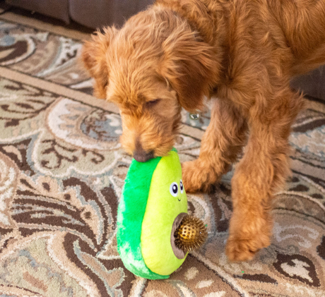ThoozyPet Avocado Plush Squeaky Dog Toy with Spiky Ball Squeaker: 11"
