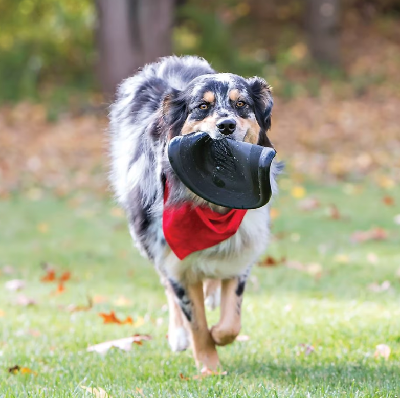 Kong Extreme Flyer Dog Toy / Flying Disk / CHEAPER THAN CHEWY!