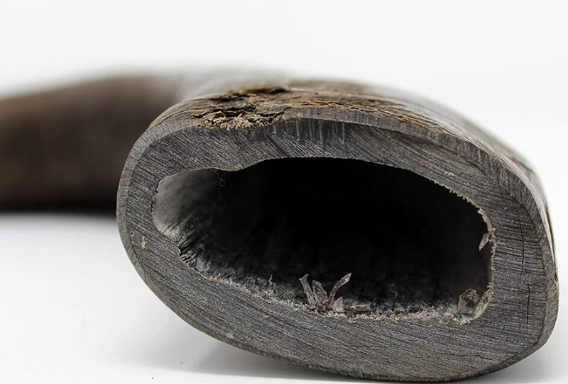 WILD EATS Water Buffalo Horn: Medium, Large, XLarge Dogs