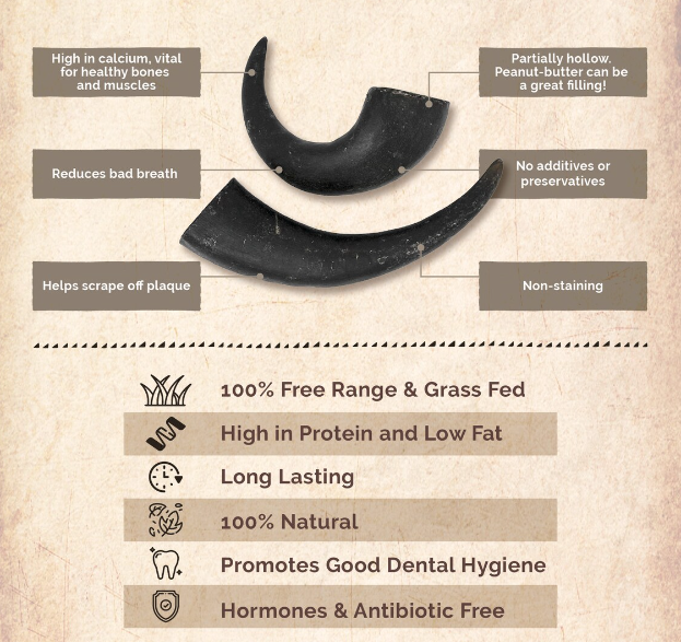 WILD EATS Water Buffalo Horn: Medium, Large, XLarge Dogs