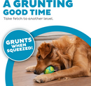 Outward Hound Grunt N Punt Squeaky Tennis Ball Dog Toy 3.5"