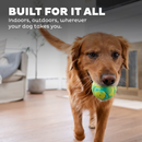 Outward Hound Grunt N Punt Squeaky Tennis Ball Dog Toy 3.5"