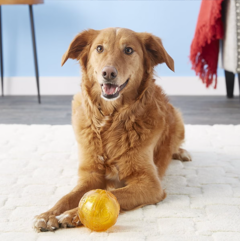 Kong Squeezz Crackle Ball: Quiet Chewing / Choose Your Color