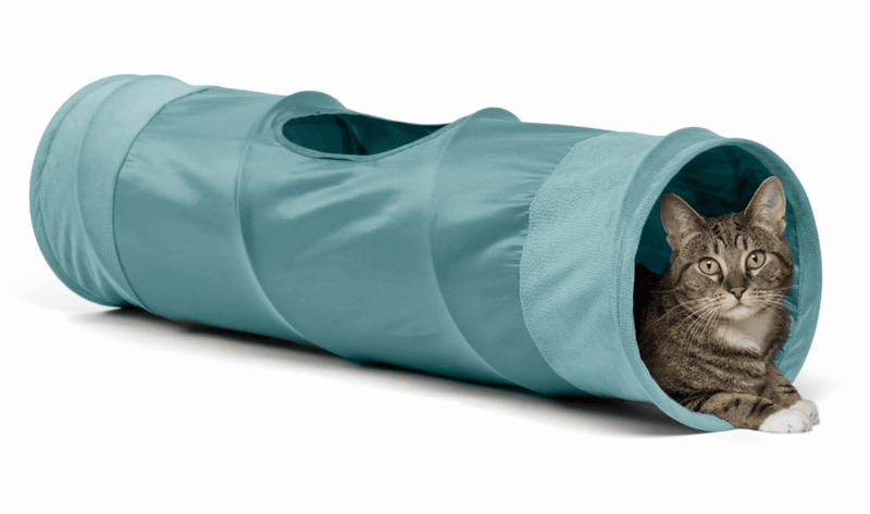 Cat 2024 tunnels inside