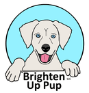 Donate to Support Brighten Up Pup's Dog Savvy Kids & Teens Club Stitching Events