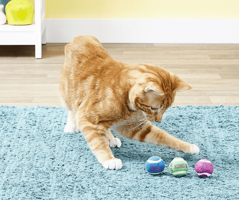 3-Pack KONG Tennis Balls with Bells for Cats CHEAPER THAN CHEWY