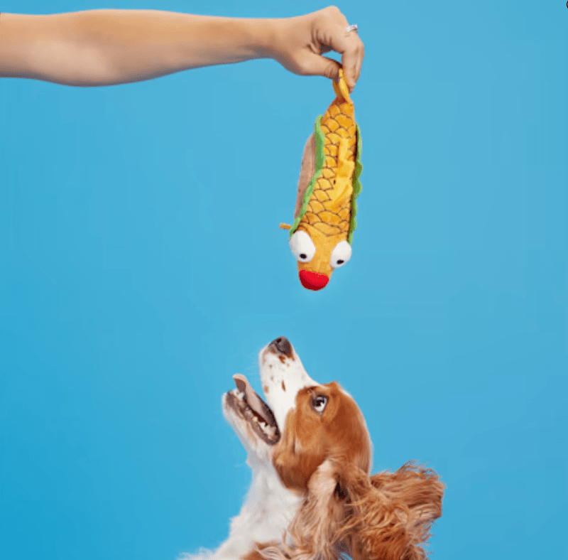 BARK Ernesto the Fish Taco Squeaky Dog Toy