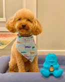 Yeti Dog Yak Cheese Chew Puff & Play Dog Chew Treat Dispenser: Hangry Yeti Blue or Pink