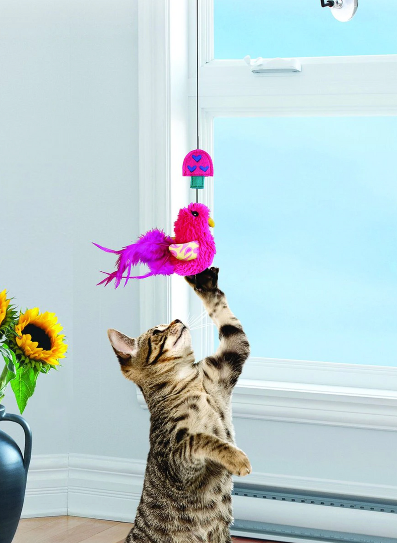 KONG Connects Window Teaser Catnip Cat Toy CHEAPER THAN CHEWY