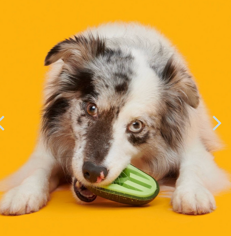 BARK Avocadoggo Super Chewer Dog Toy