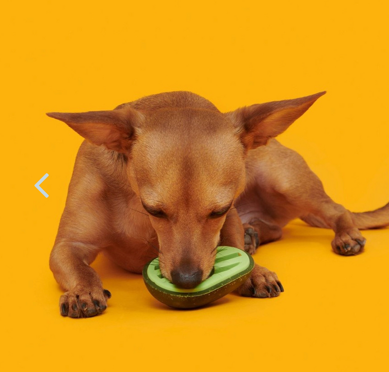 BARK Avocadoggo Super Chewer Dog Toy