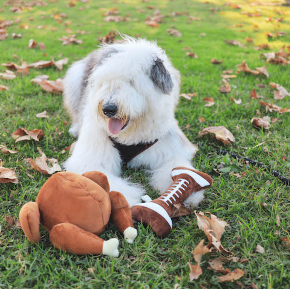 Lulubelles Football Bone Power Plush Squeak & Crinkle Dog Toy: 2 Sizes