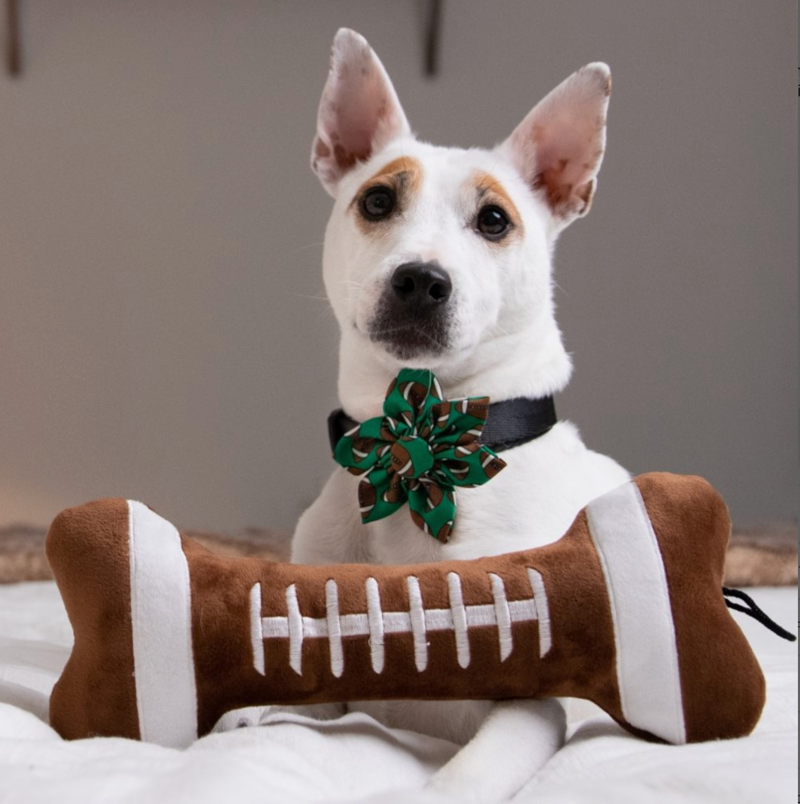 Lulubelles Football Bone Power Plush Squeak & Crinkle Dog Toy: 2 Sizes