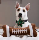 30% OFF! Lulubelles Football Bone Power Plush Squeak & Crinkle Dog Toy: 2 Sizes