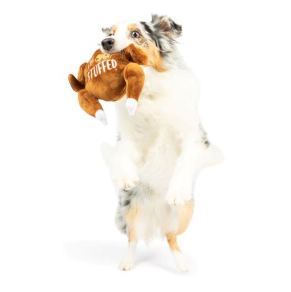 Lulubelles I'm Stuffed Turkey  Squeak & Crinkle Dog Toy: 2 Sizes