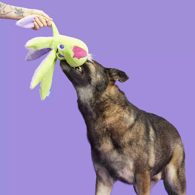 $3 OFF! BARK Undead Ollie The Octopus Plush Dog Toy