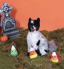 SAVE $1! PetShop by Fringe Candy Corns Small Plush Squeaky Dog Toy 3 Piece Set