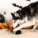 50% OFF! PetShop by Fringe Studio It's Alive Plush Squeaky Dog Toy