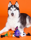 SAVE $1! PetShop by Fringe Studio Literally Dead Cute Plush & Rope Squeaky Dog Toy