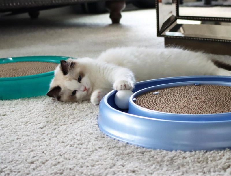 SAVE Turbo Scratcher Cat Toy with Ball Made in USA