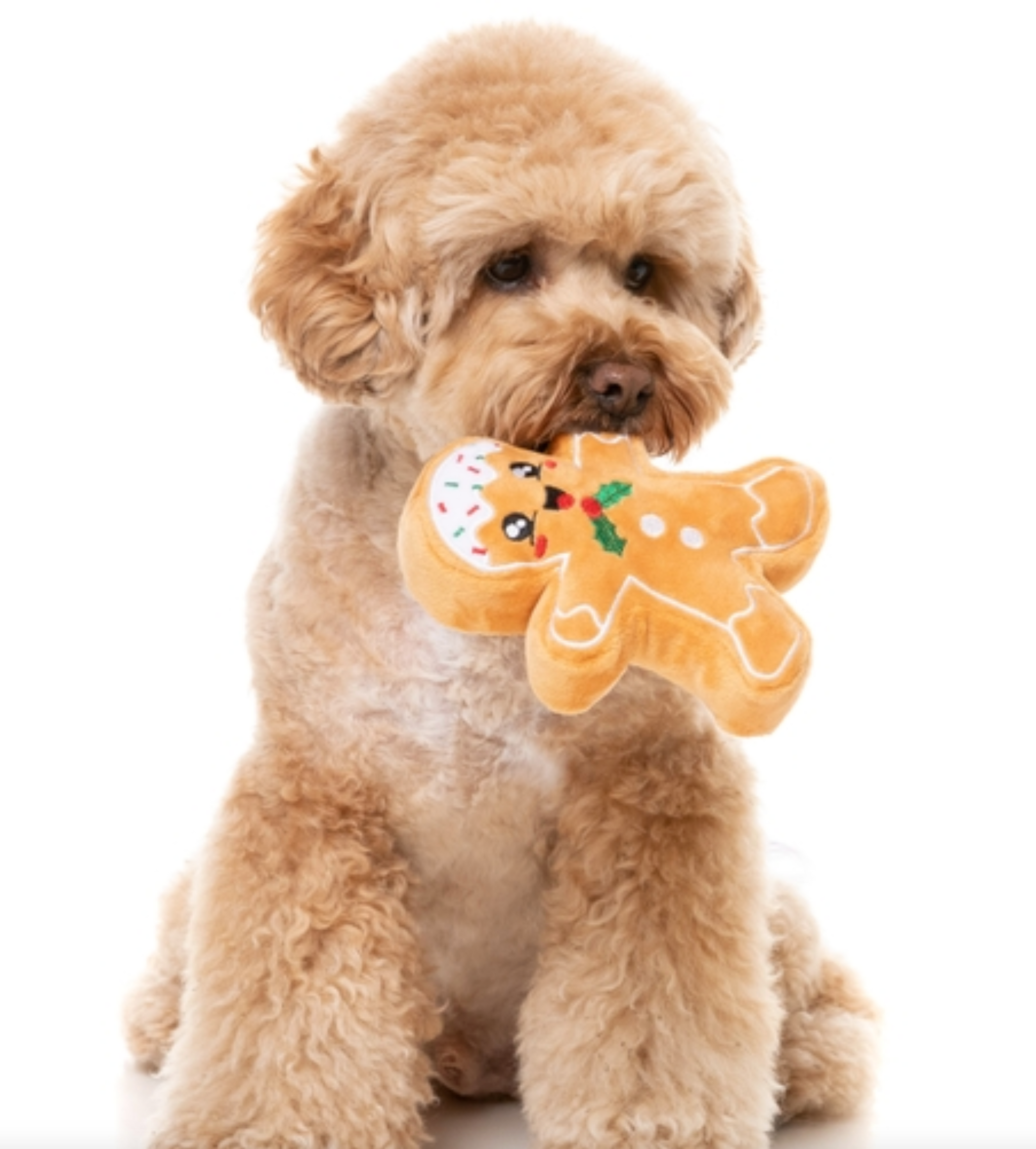 FuzzYard Fred The Gingerbread Plush Squeaky Dog Toy: Small & Large