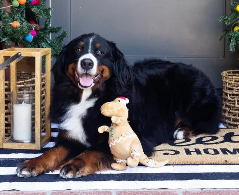 PetShop by Fringe Studio Cookie-Saurus Plush Squeaky Holiday Dog Toy