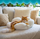Catstages 21" Purrfect Petals Flower Shaped Bolster Bed with Removable Cover: White & Yellow