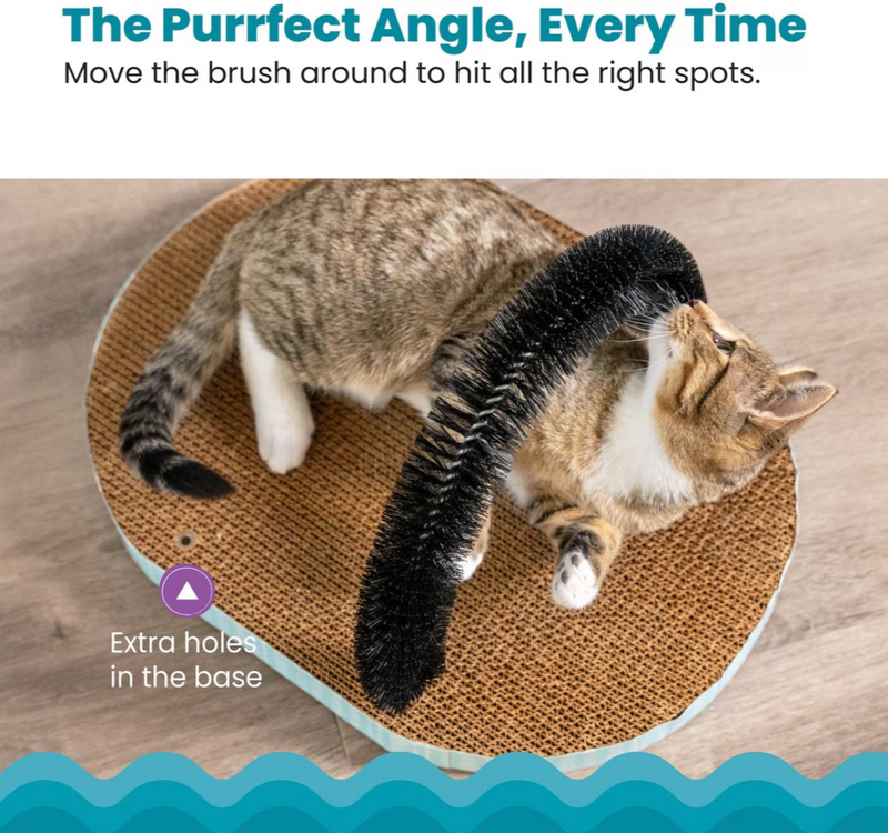$2 OFF!  Catstages Scratch & Groom Scratch Pad & Grooming Brush Cat Toy With Catnip
