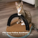 $2 OFF!  Catstages Scratch & Groom Scratch Pad & Grooming Brush Cat Toy With Catnip