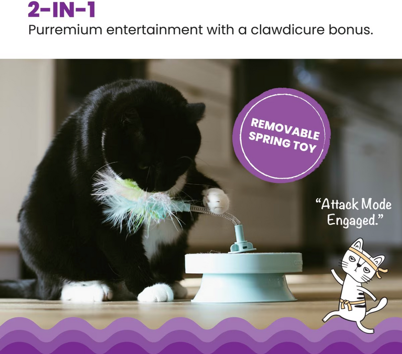 $3 OFF! Catstages 2-in-1 Spring Toy Interactive Topper with Removable Feather & Corrugated Scratcher Cat Toy