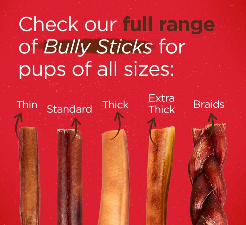 Natural Farm Braided Beef 6" Bully Sticks Dog Treats CHEAPER THAN CHEWY