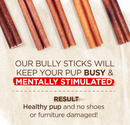 $1 OFF! Natural Farm Beef 12" Bully Sticks Dog Treats CHEAPER THAN CHEWY
