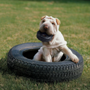 KONG Extreme Tires Dog Toy Medium/Large CHEAPER THAN CHEWY