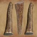 White Tail Naturals Elk Antler Dog Chews: Large & Extra Large