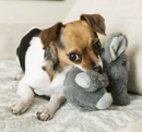 KONG Comfort Kiddos Elephant Removable Squeaker Plush Dog Toy: 2 Sizes
