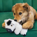 KONG Comfort Tykes Removable Squeaker Dog Toy Cow: S, M Dogs CHEAPER THAN CHEWY