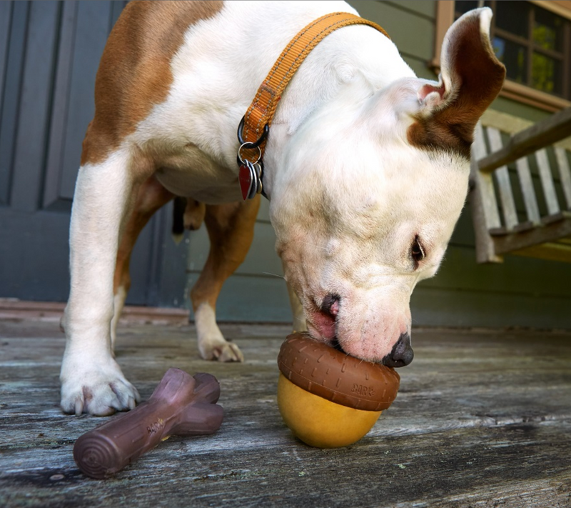 BARK Super Chewer Treat-Dispensing Acornucopia Dog Toy Large CHEAPER THAN CHEWY