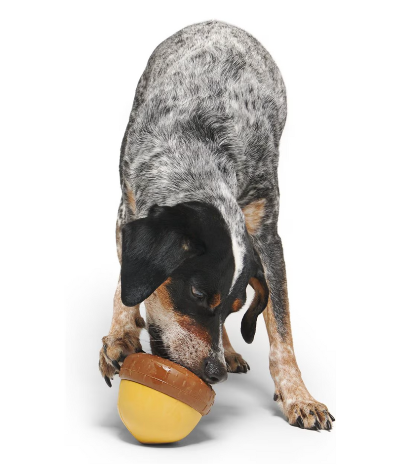 BARK Super Chewer Treat-Dispensing Acornucopia Dog Toy Large CHEAPER THAN CHEWY