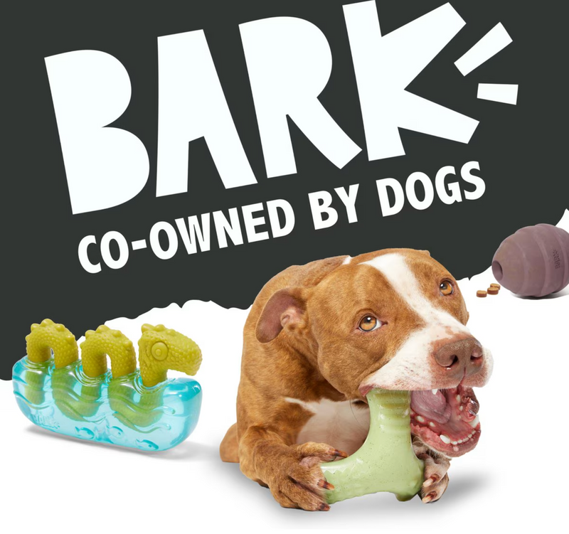 BARK Super Chewer Treat-Dispensing Acornucopia Dog Toy Large CHEAPER THAN CHEWY