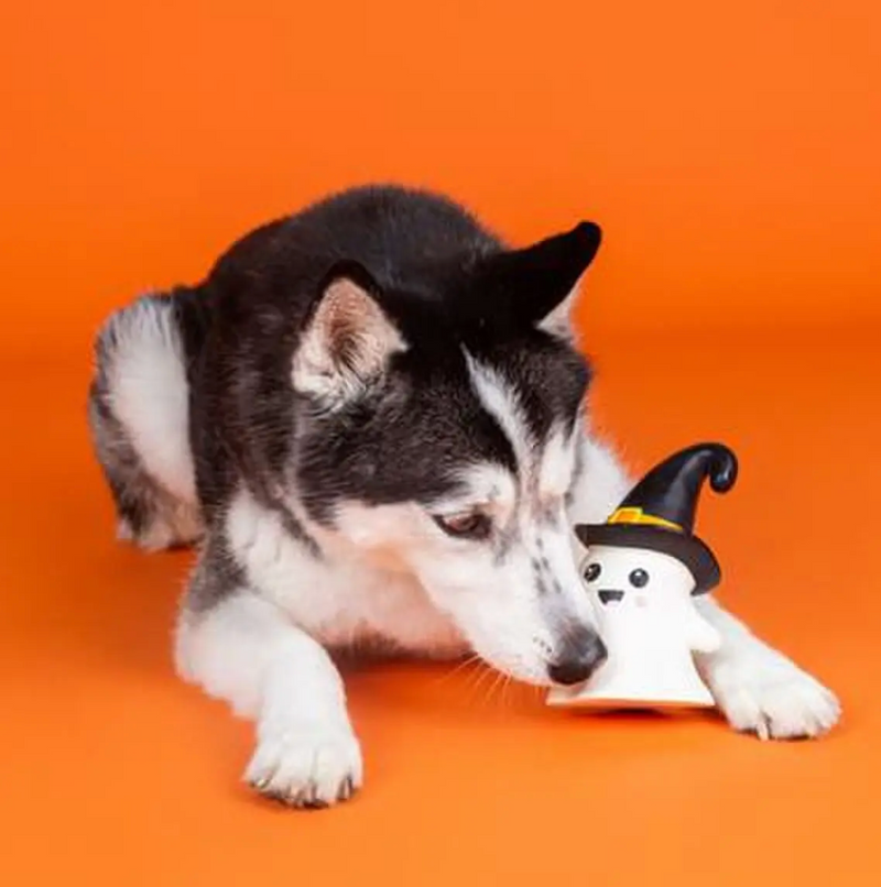 PetShop by Fringe Studio One Wicked Ghost Dog Chew Toy