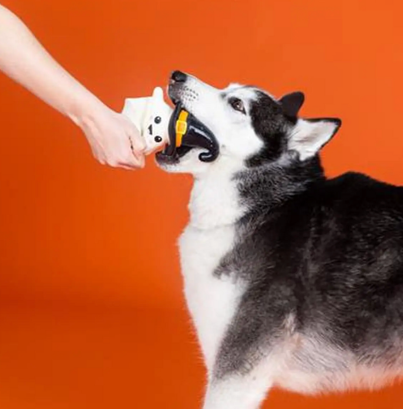 PetShop by Fringe Studio One Wicked Ghost Dog Chew Toy
