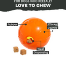 15% OFF! BARK Pumpkin Prodigy Super Chewer Dog Toy: Treat Dispensing