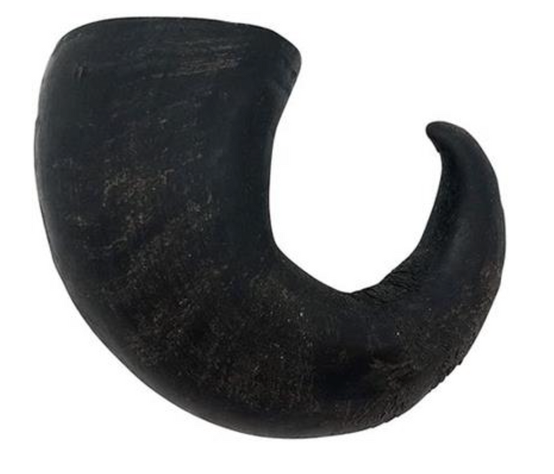 WILD EATS Water Buffalo Horn: Medium, Large, XLarge Dogs