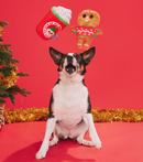 BARK Ginger Brew Crew Squeaky Dog Toy 2 Piece Set: XSmall &Small Dogs