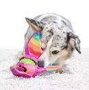 $1 OFF! BARK Super Chewer Diva The Dragon Queen Rainbow Plush Dog Toy, M/L