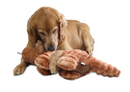Petlou Ripples Dino Friends 26" Triceratops Squeaky Plush Dog Toy CHEAPER THAN CHEWY